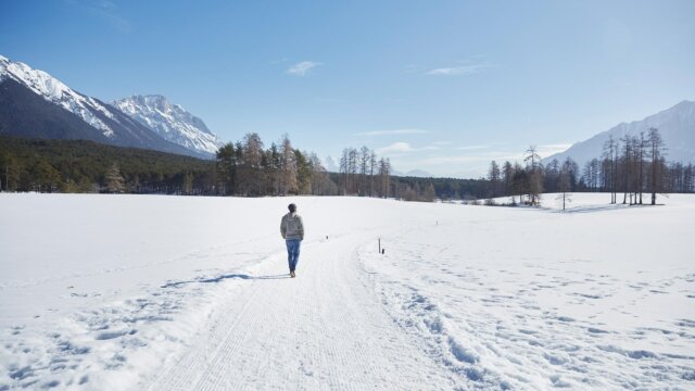 Winter- und Schneeschuh-Wandern