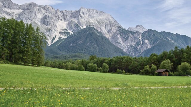 Wandern
